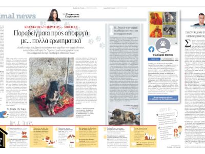 Τι κάνουμε σε ένα επείγον κτηνιατρικό περιστατικό