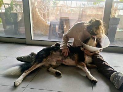 Κάσπερ Προληπτικό Χειρουργείο «Γαστροπηξίας»
