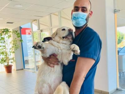 Η αγαπημένη μας Μέη 🐶🐾